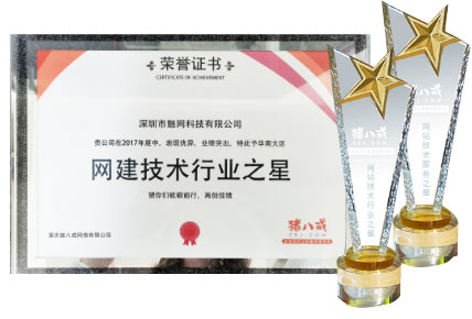 网建技术行业之星